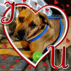 Meet your Posher, Misty